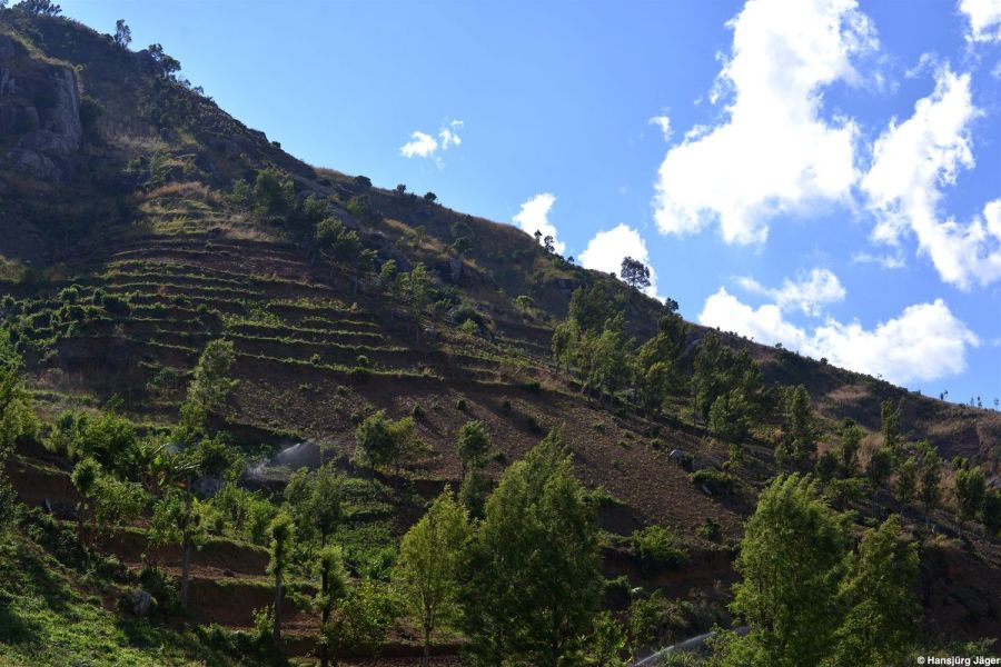 2016_uluguru_mountains_9