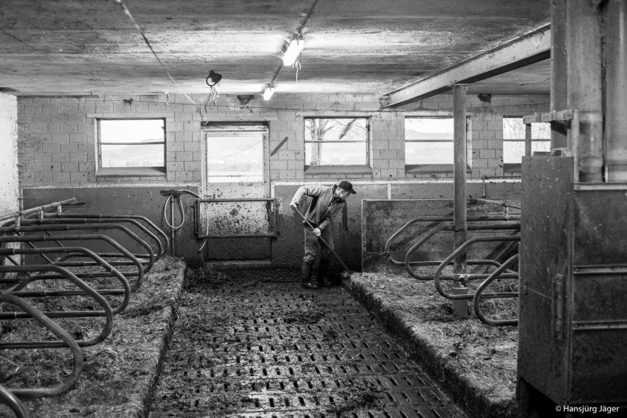 Emmentaler Uettligen-16