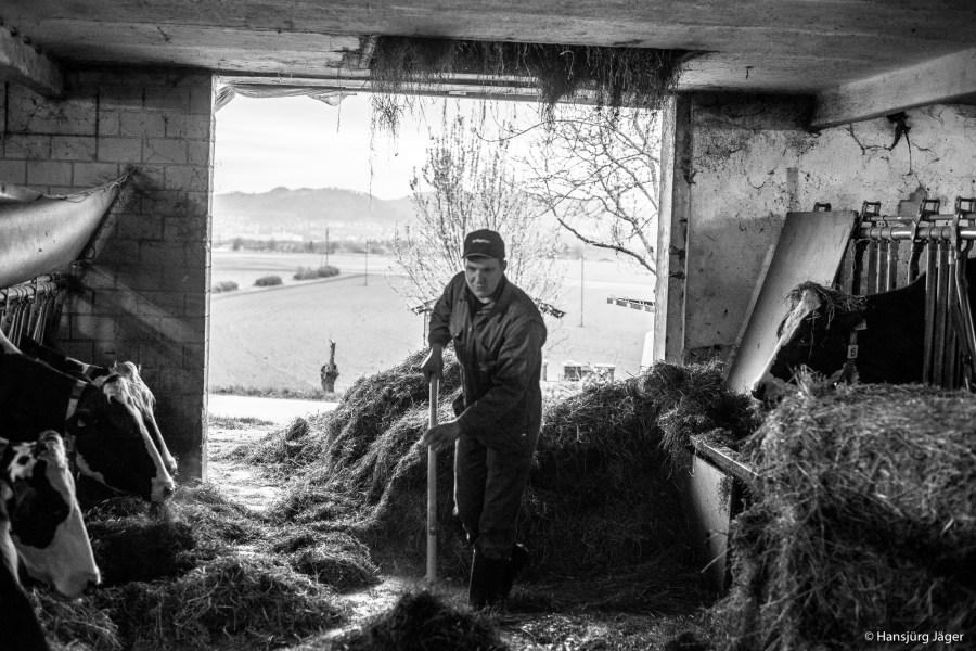 Emmentaler Uettligen-22