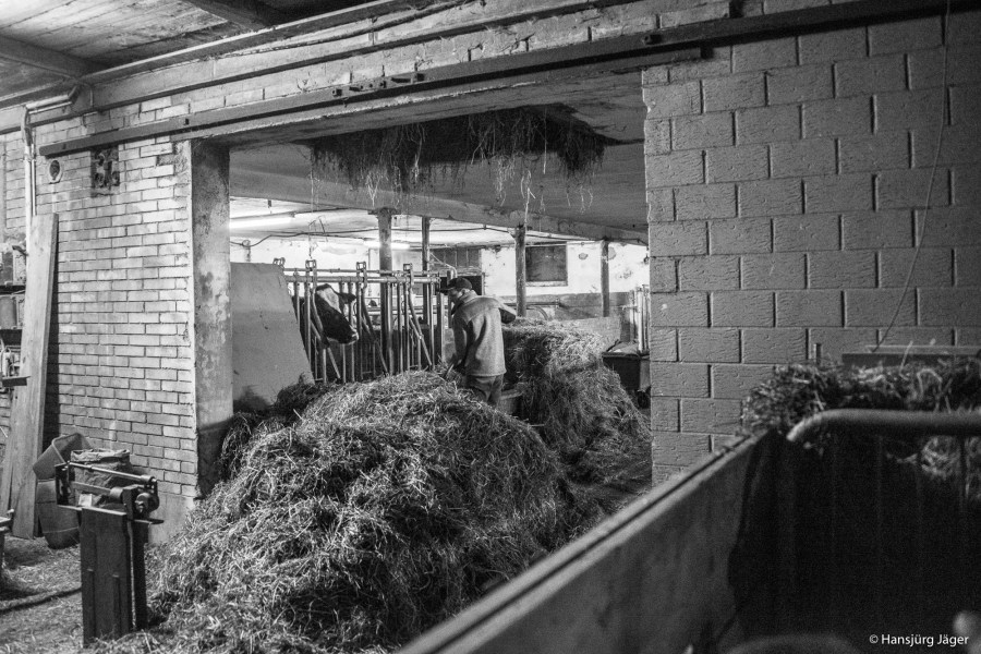 Emmentaler Uettligen-7