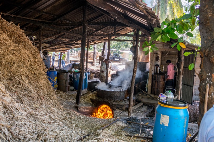 2018-Leserreise_SriLanka-205